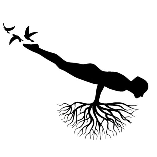 Logo Ashtanga Yoga Vevey | Casa Vinyasa